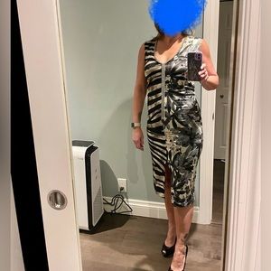 Dressy animal print dress.